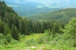 2014-07-05_Laengental-N-Hochweg (909). JPG
